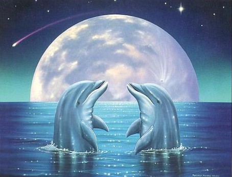 Preludeto Kiss Dolphins
