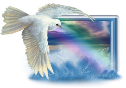 Rainbow Dove