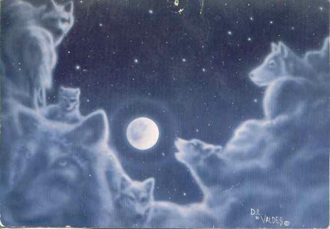 Wolf Clouds