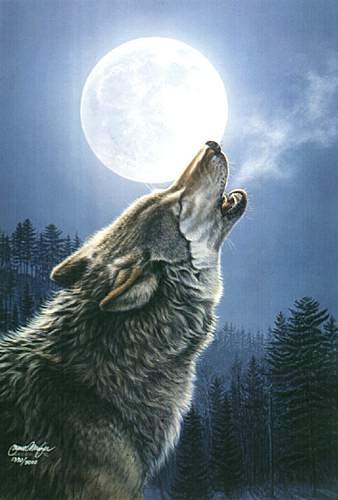 Wolf Moon (2)