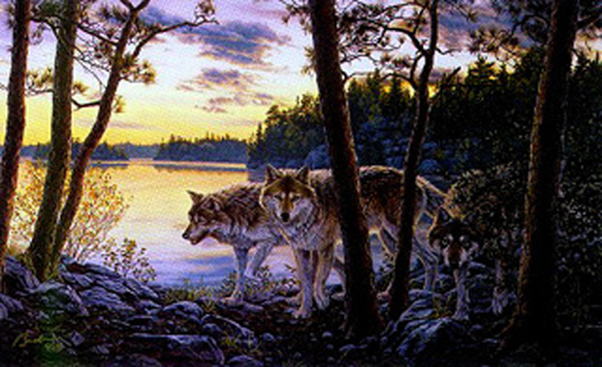 Wolf Pack