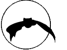 Batmoon