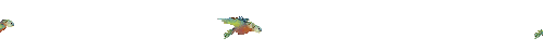 Bird 33