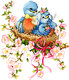 Birdnest