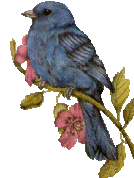 Bluebird