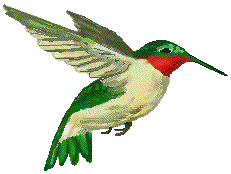 Humbird