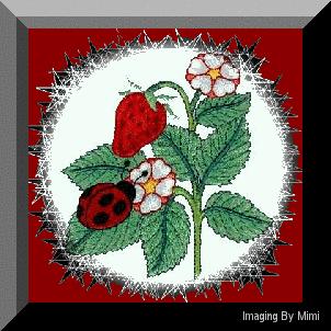 Ladybug