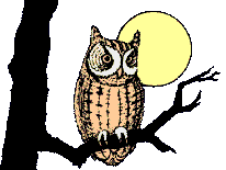 Nightowl