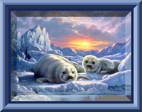 Seals