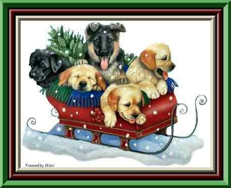 Sleighpups