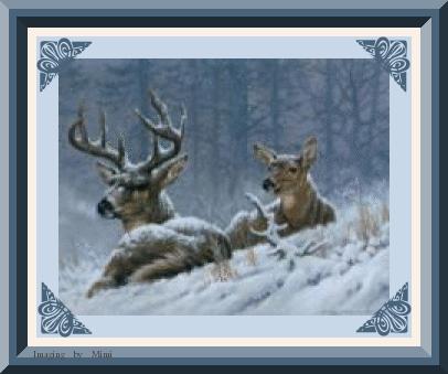 Snowdeer
