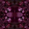 Purpdottile