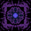 Purple Nblack Bkgd