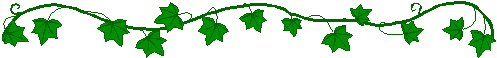 Ivyvine