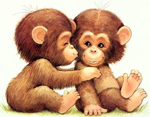 2 Cute Monkeys