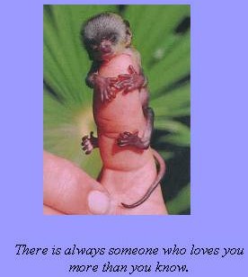 Always Somebody Loves You