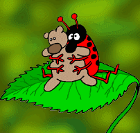 Bug ABoo Bear