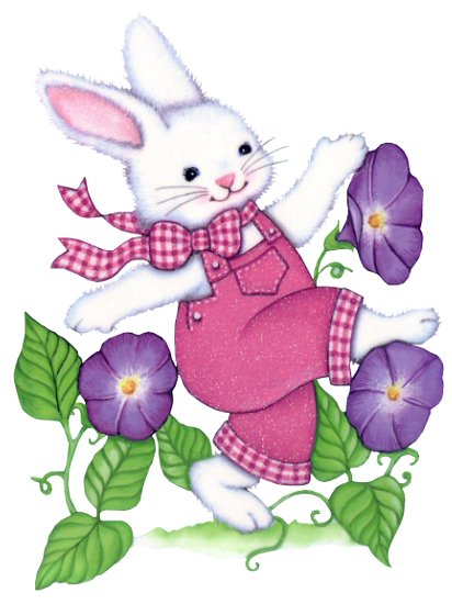 Bunnyn Patunia Flowers