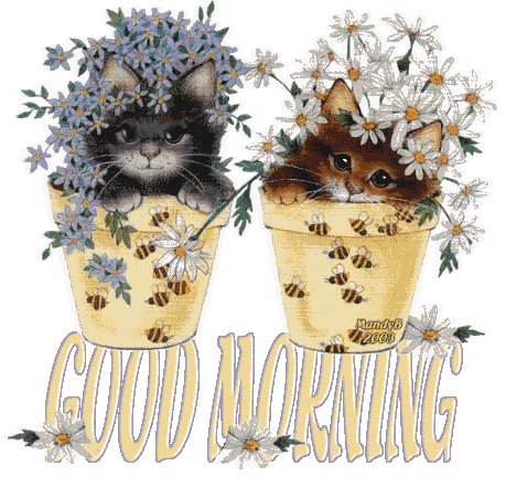 CATPOTS GOODMORNING