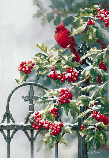 Cardinals with Holly Berry Bush Iron Gate