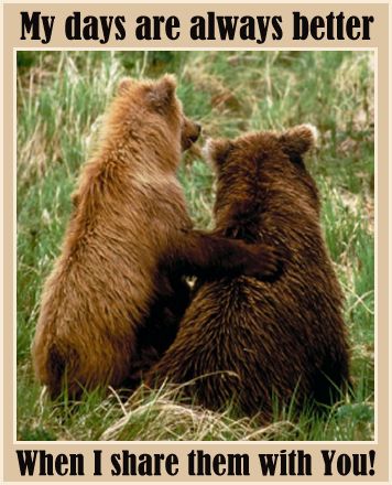 Cards Better Days Bears