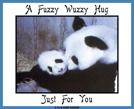 Cards Fuzzy Wuzzy Hug