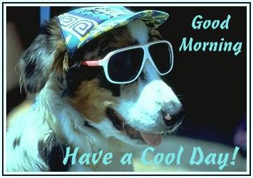 Cards GMCool Day