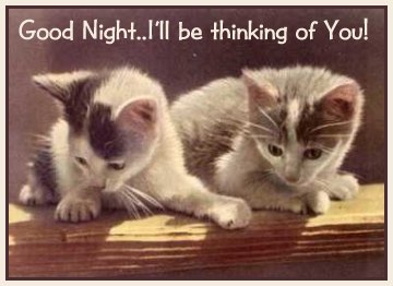Cards Good Night Kittys