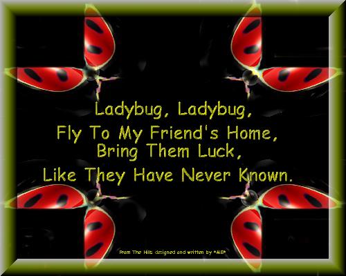 Cards Lady Bug Friend