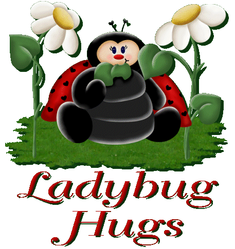 Cards Lady Bug Hugs
