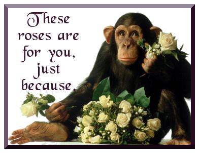 Cards Monkey Roses