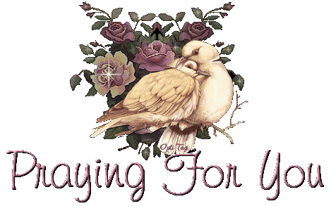 Cards Praying for You Doves