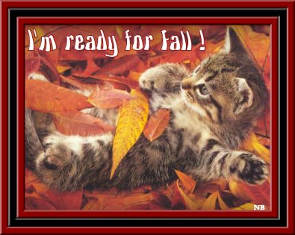 Cards Ready for Fall Kitty