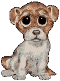Cards Sad Puppy Dog