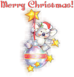 Cards Christmas Koala
