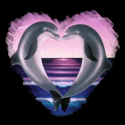 Dolphin Heart