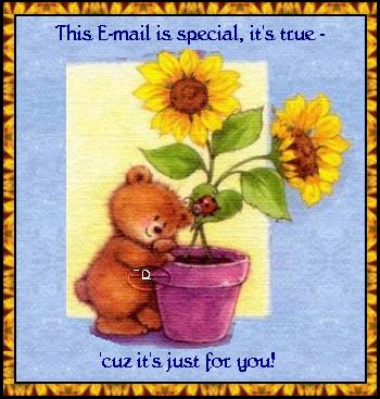 Email Special Bear