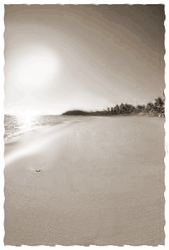 Foot Prints in Sand
