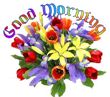 Good Morning Bouquet