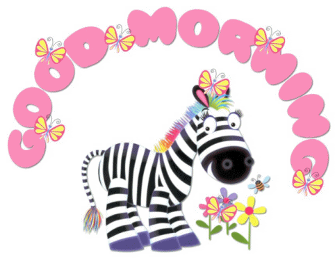 Good Morning Zebra