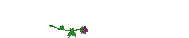 Have AGreat Day Writing Rose