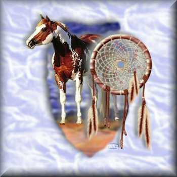 Horse Dreamcatcher