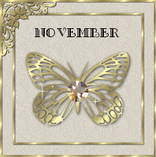 Nov BF