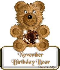 Nov BSBear