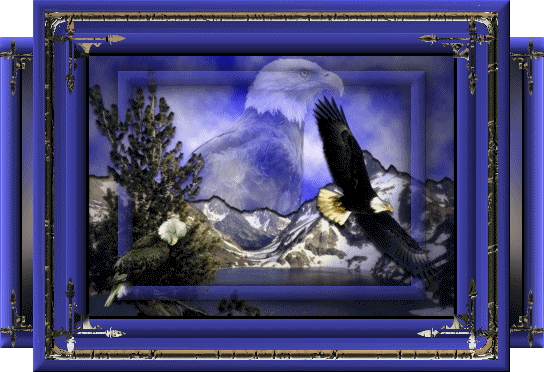 Purp Mnt Majisty Eagle