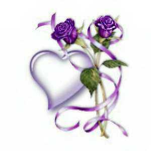 Purple Heart Rose