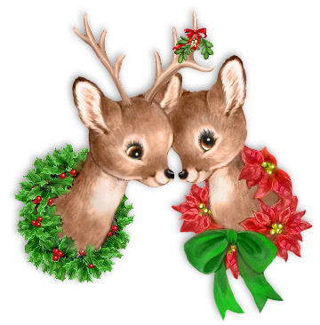 Rain Deer Kiss