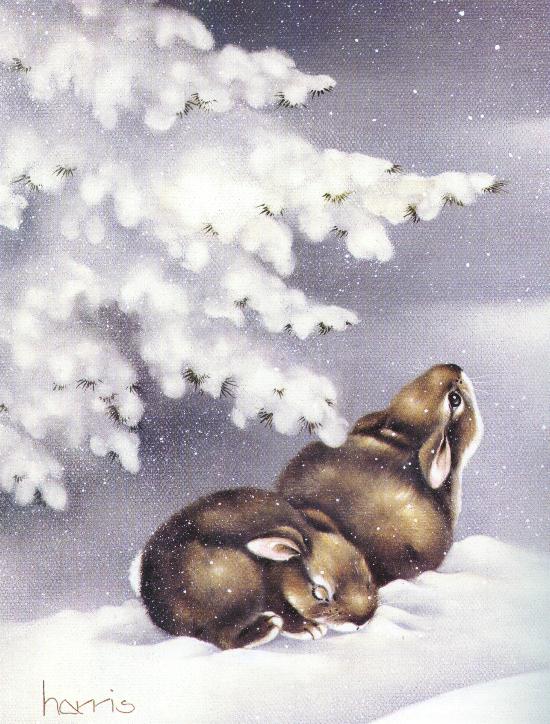 Snow Bunnies
