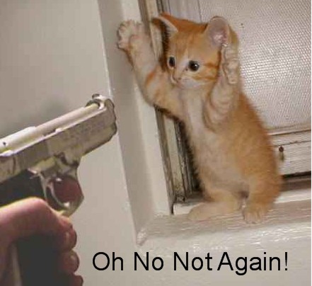 Stick Um Up Kitty