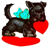 VDDog Scottie